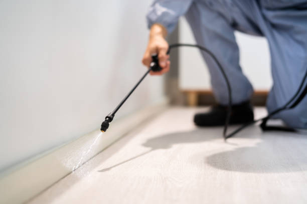 Licensed Pest Control service in Moon Lake, FL - Show Me Pest Control