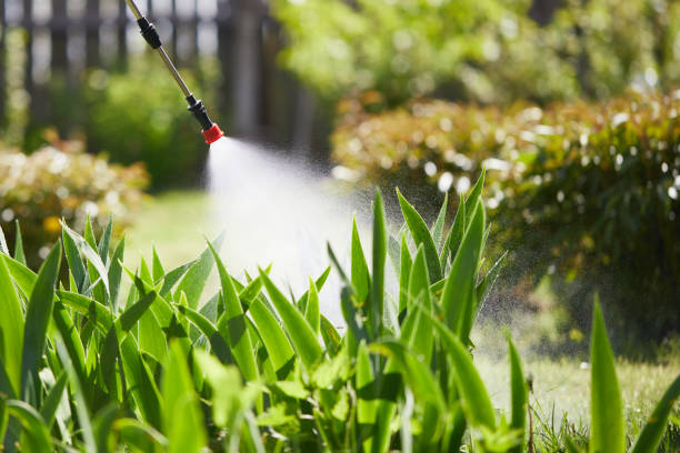 24/7 Emergency Mosquito Control experts in Moon Lake, FL
