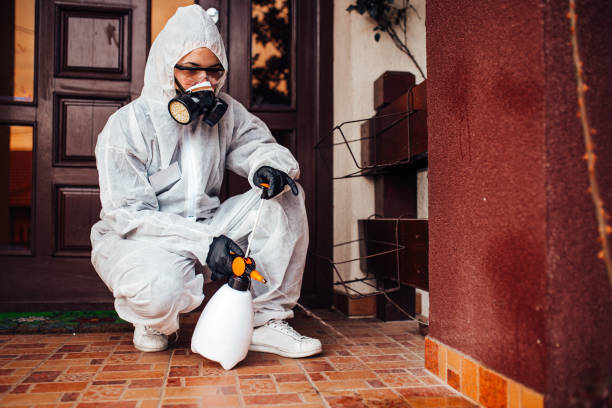 Reliable Mosquito Control contractor in Moon Lake, FL by Show Me Pest Control